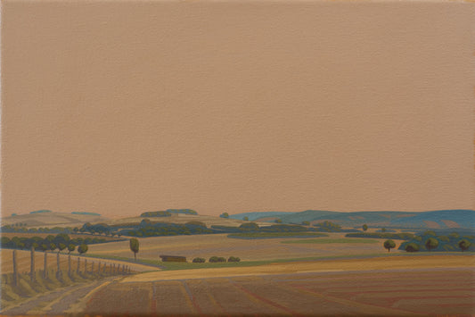 Fliessende Felder, Unikat, Malerei, handgemaltes Einzelstück, 30 x 20 cm, Acrylfarbe auf Leinwand