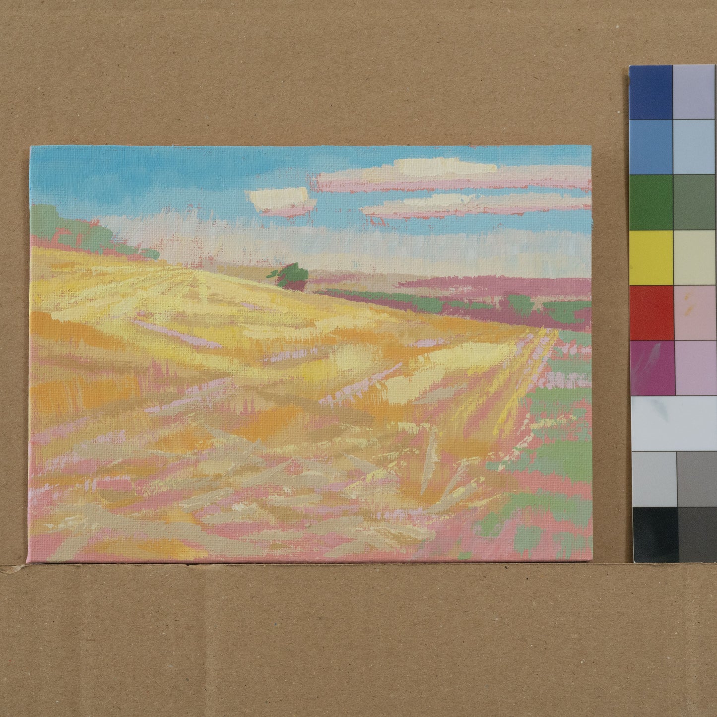 "Field test", unique, painting, hand-painted unique piece, 20 x 15 cm, with picture frame