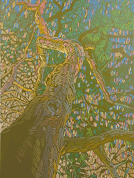 Art Card – Mini Poster – 15 x 20 cm – Pine Trees Image
